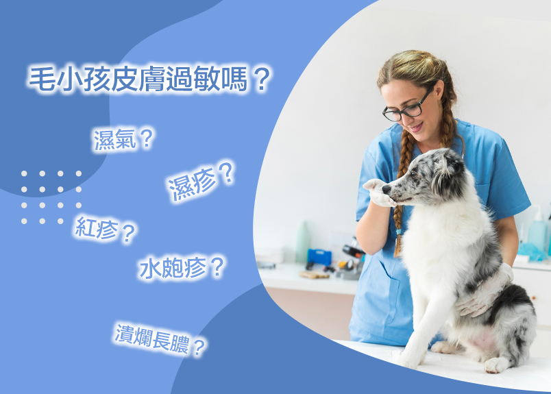  毛小孩皮膚過敏。濕氣。濕疹。紅疹。水泡疹。潰爛長膿。愛護你的家人，就減少給牠注射使用，抗生素抗、組織胺、類固醇藥物！！ ARISONAHEALTHOFUSAINC. 臨
